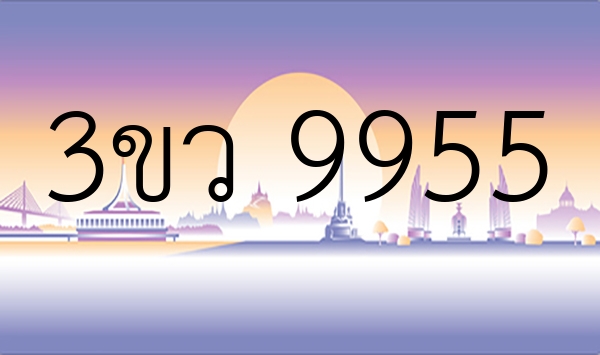 3ขว 9955